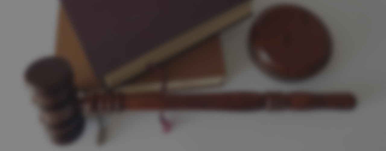 Somos su mejor opción